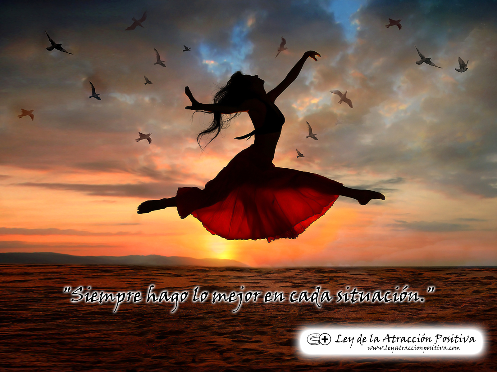 Wallpaper Descargar El Pack De 50 Wallpapers Wallpapers - HD Wallpaper 