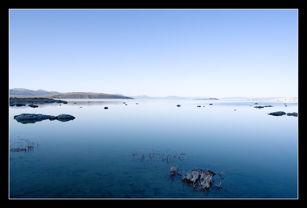 Default Wallpaper Bee Download Wall Paper For Android - Android 1.5 - HD Wallpaper 