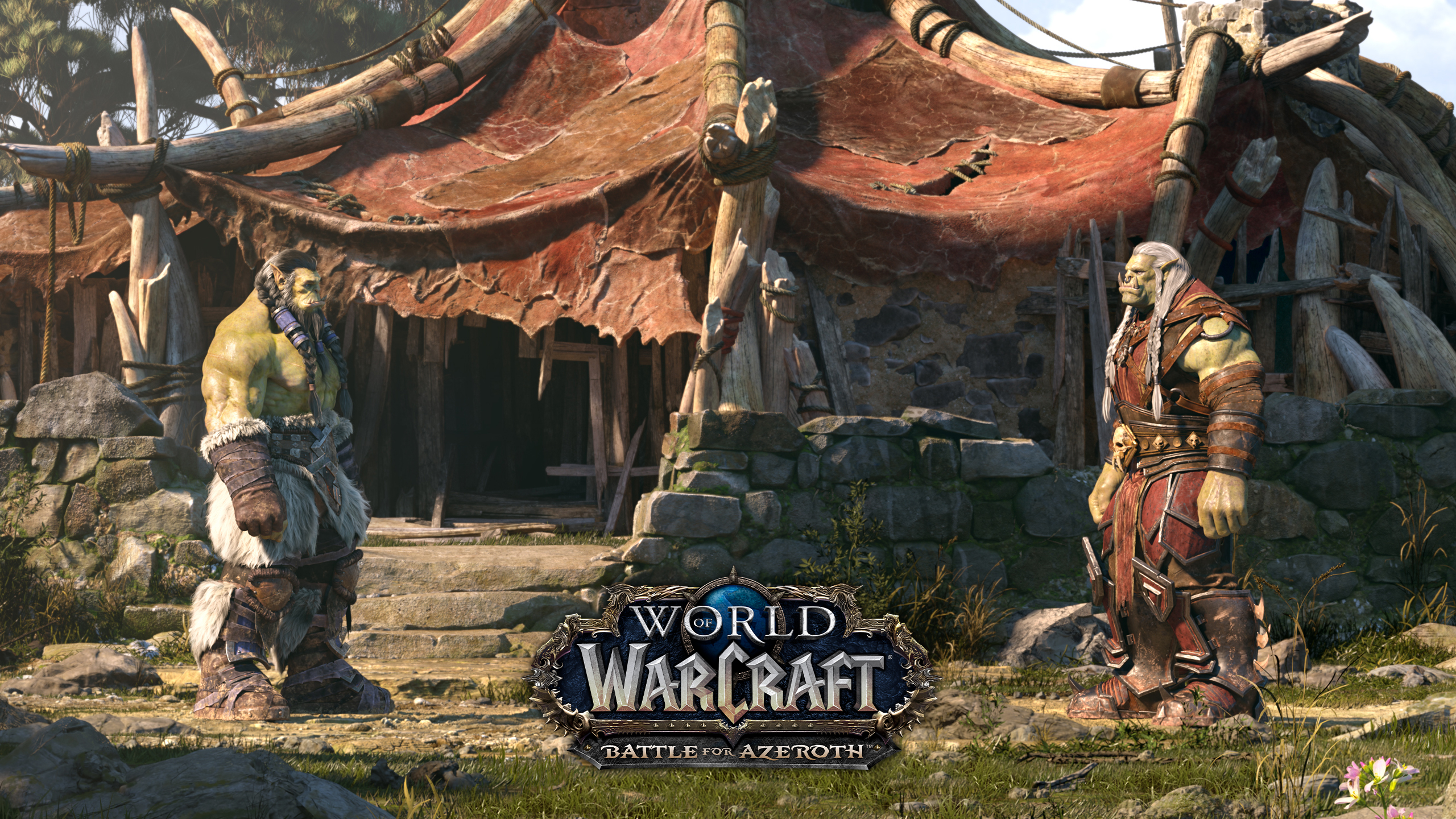 World Of Warcraft Bfa - HD Wallpaper 