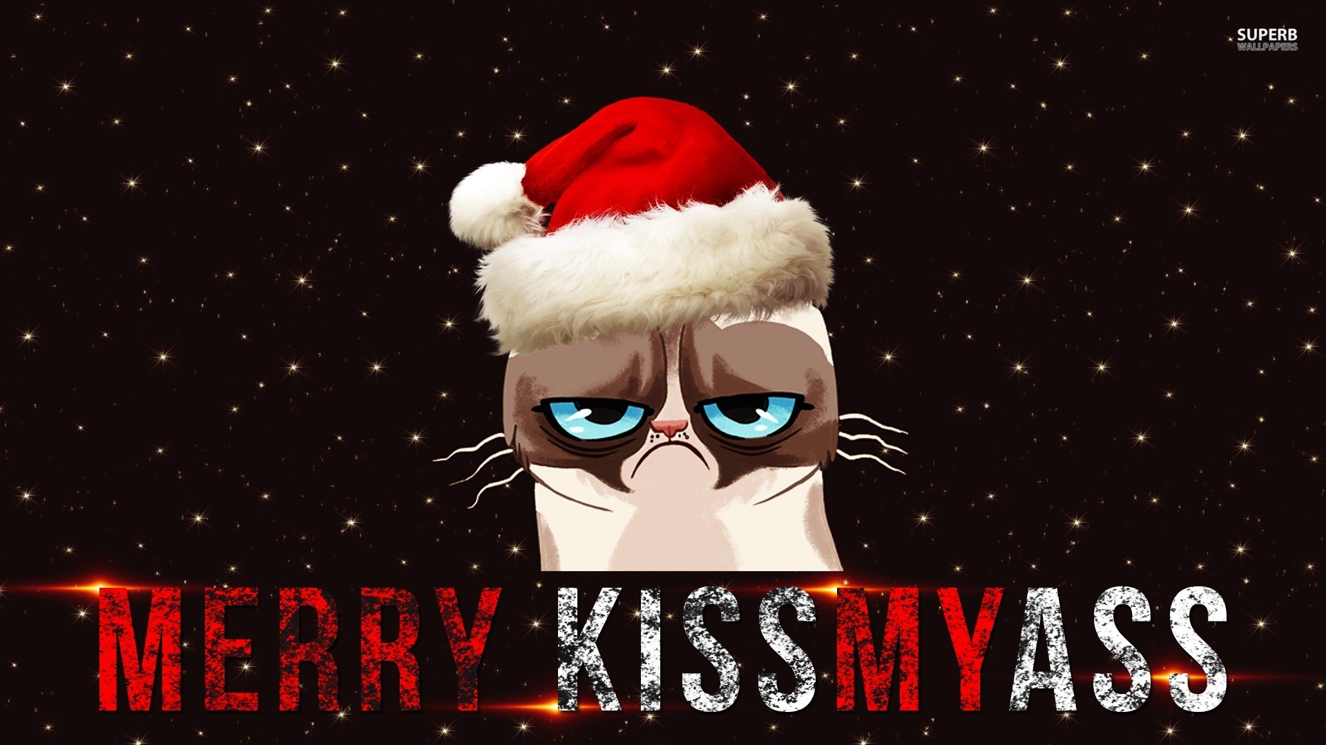 Grumpy Cat Wallpaper - Santa Claus - HD Wallpaper 