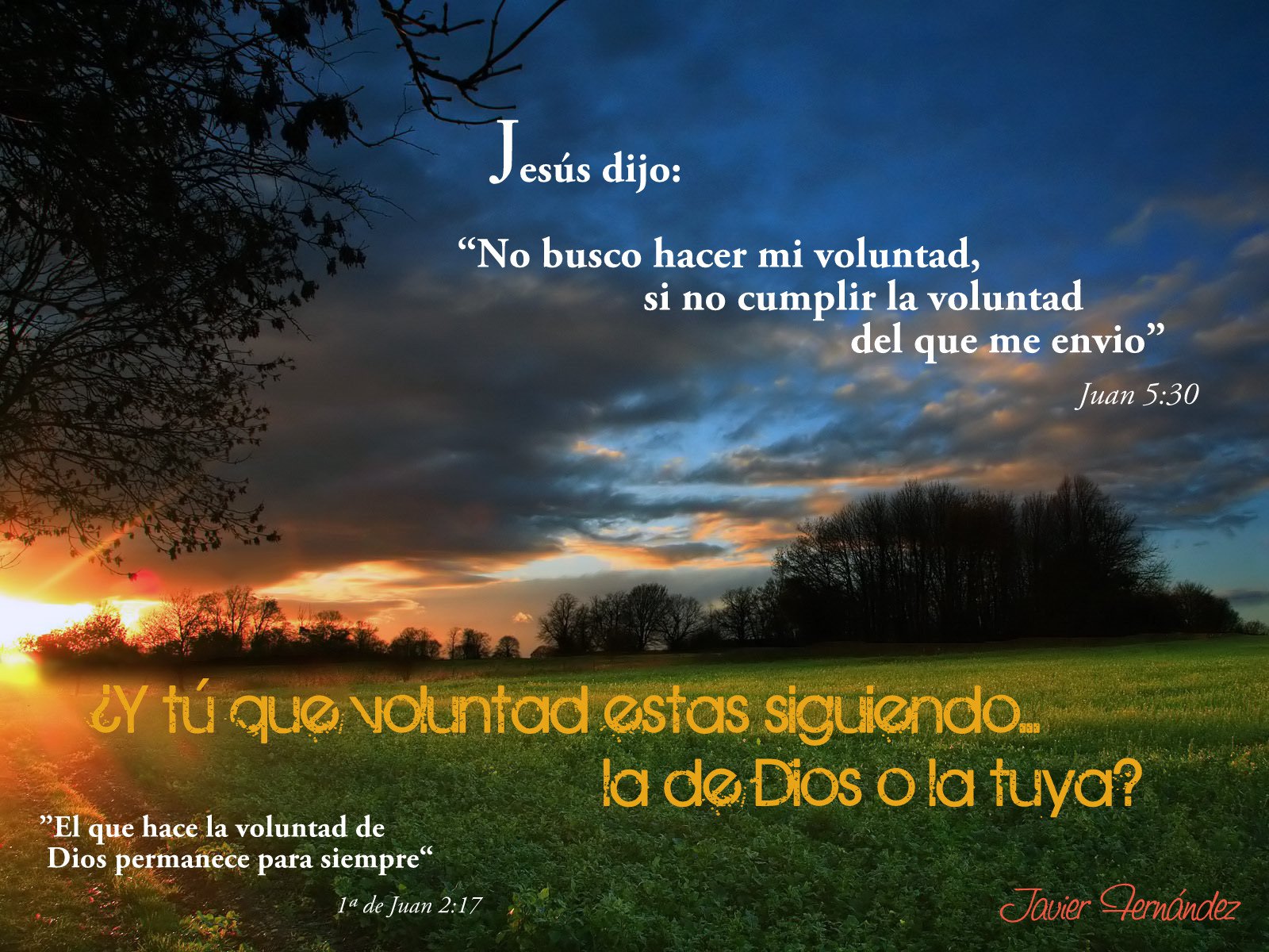 Nature Wallpaper Hd - HD Wallpaper 