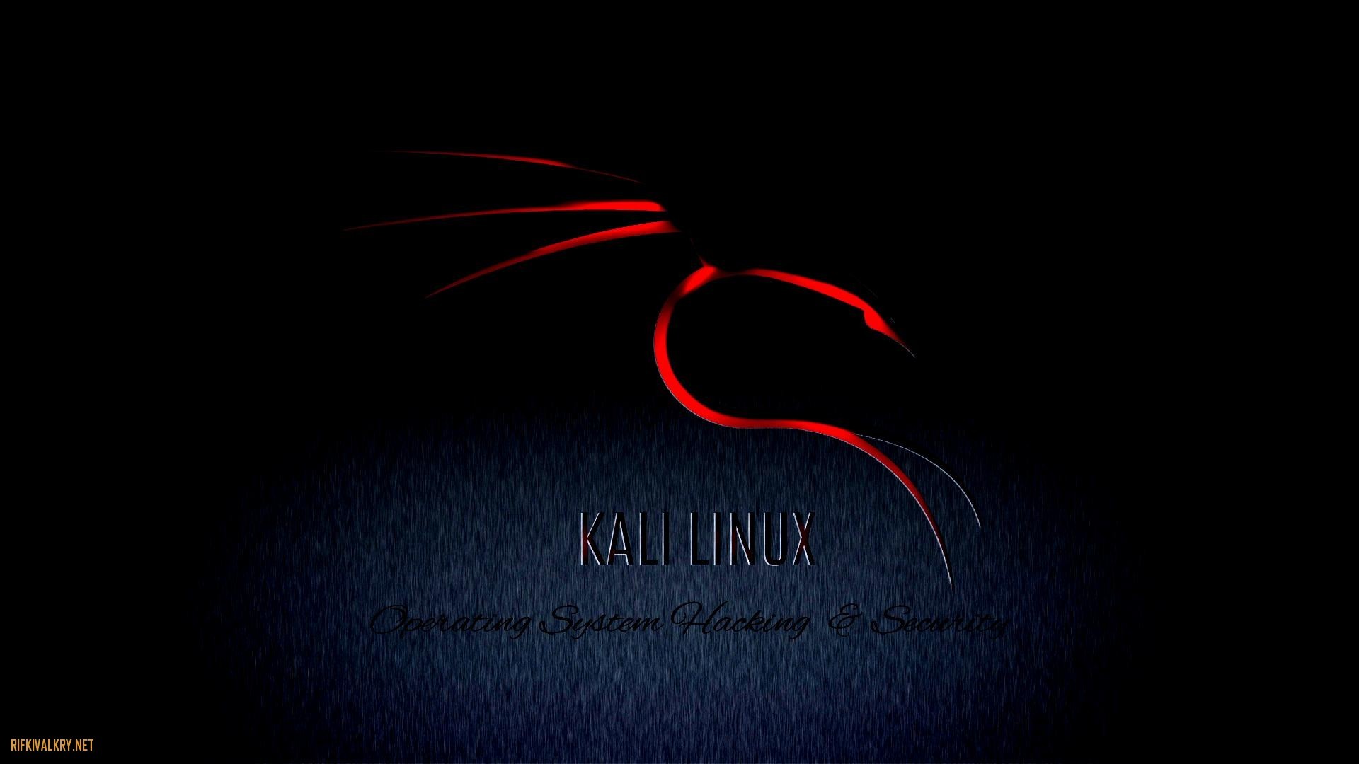 1920x1080, Github - Kali Linux Wallpaper 4k Download - HD Wallpaper 