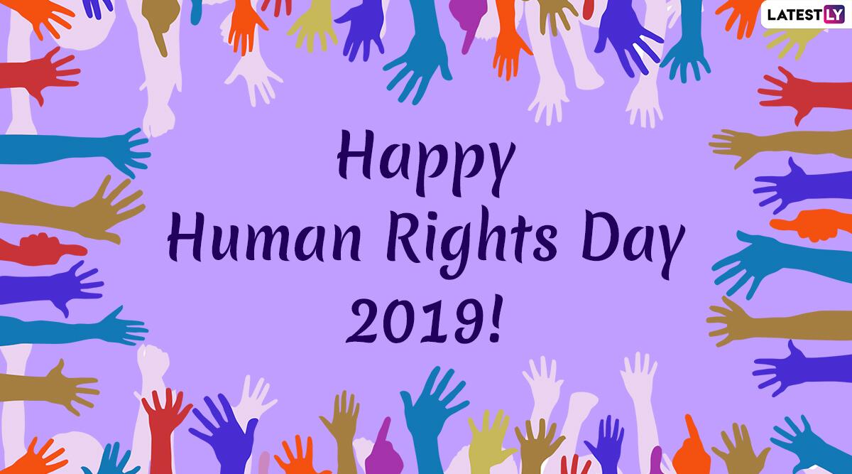Human Rights Day Images & Hd Wallpapers For Free Download - Areas For Volunteering In Uae - HD Wallpaper 