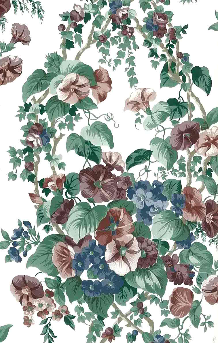 Hawaiian Hibiscus - HD Wallpaper 