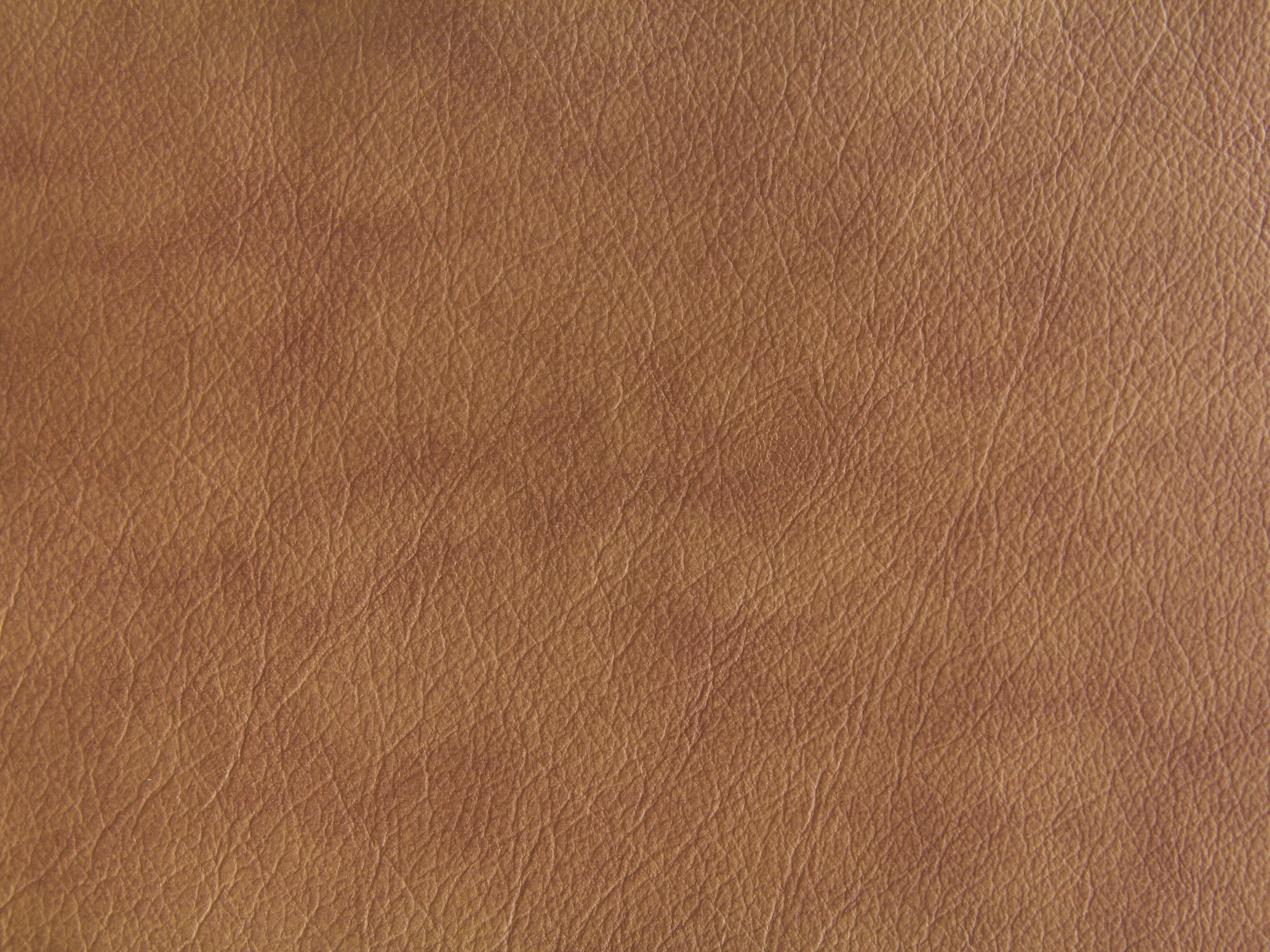 Seamless Wallpaper Vector Image, Brown Leather Wallpaper