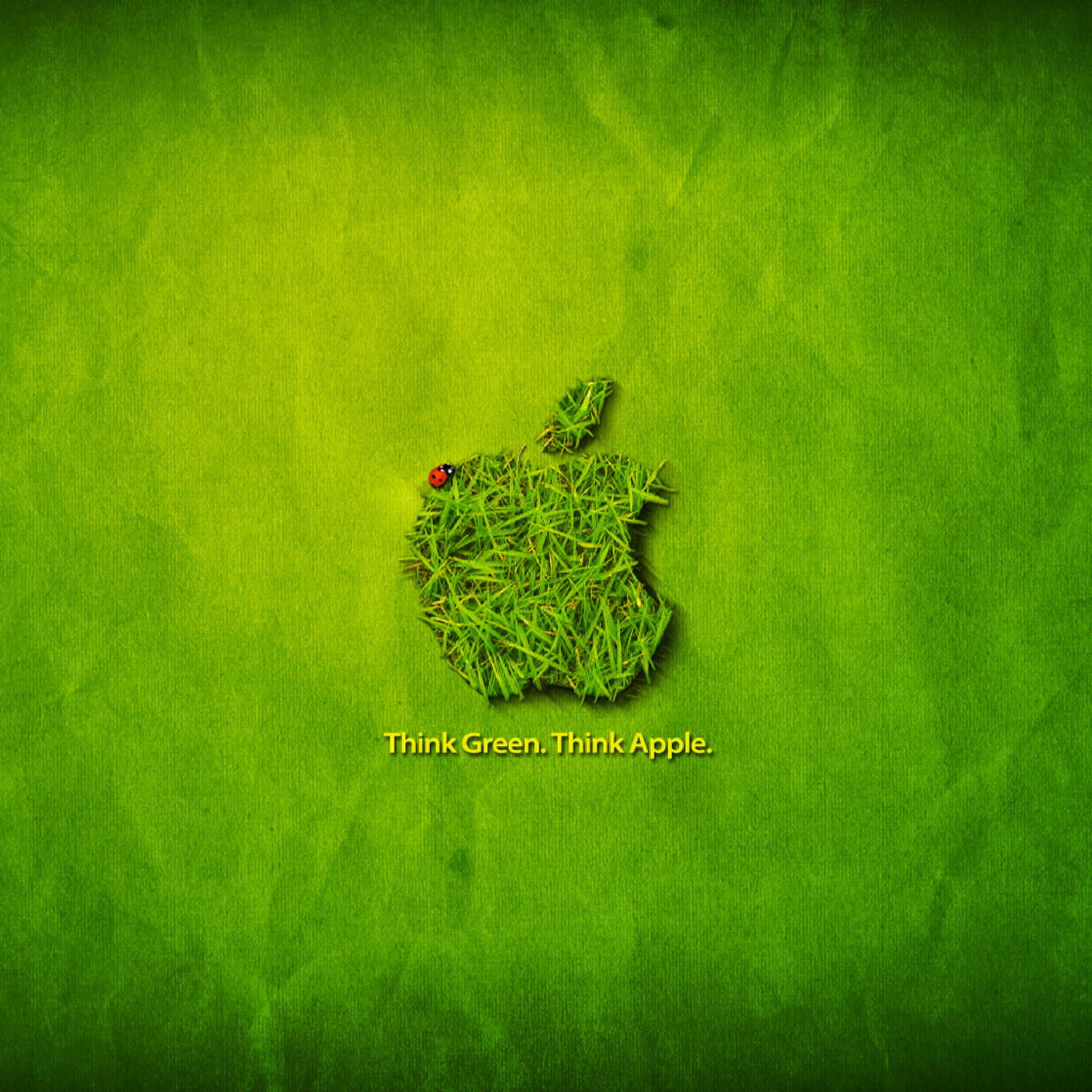 Apple Wallpapers For Ipad Green - HD Wallpaper 