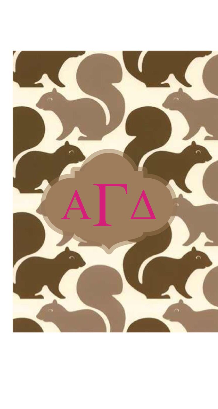 Squirrel Wallpaper For Walls - HD Wallpaper 