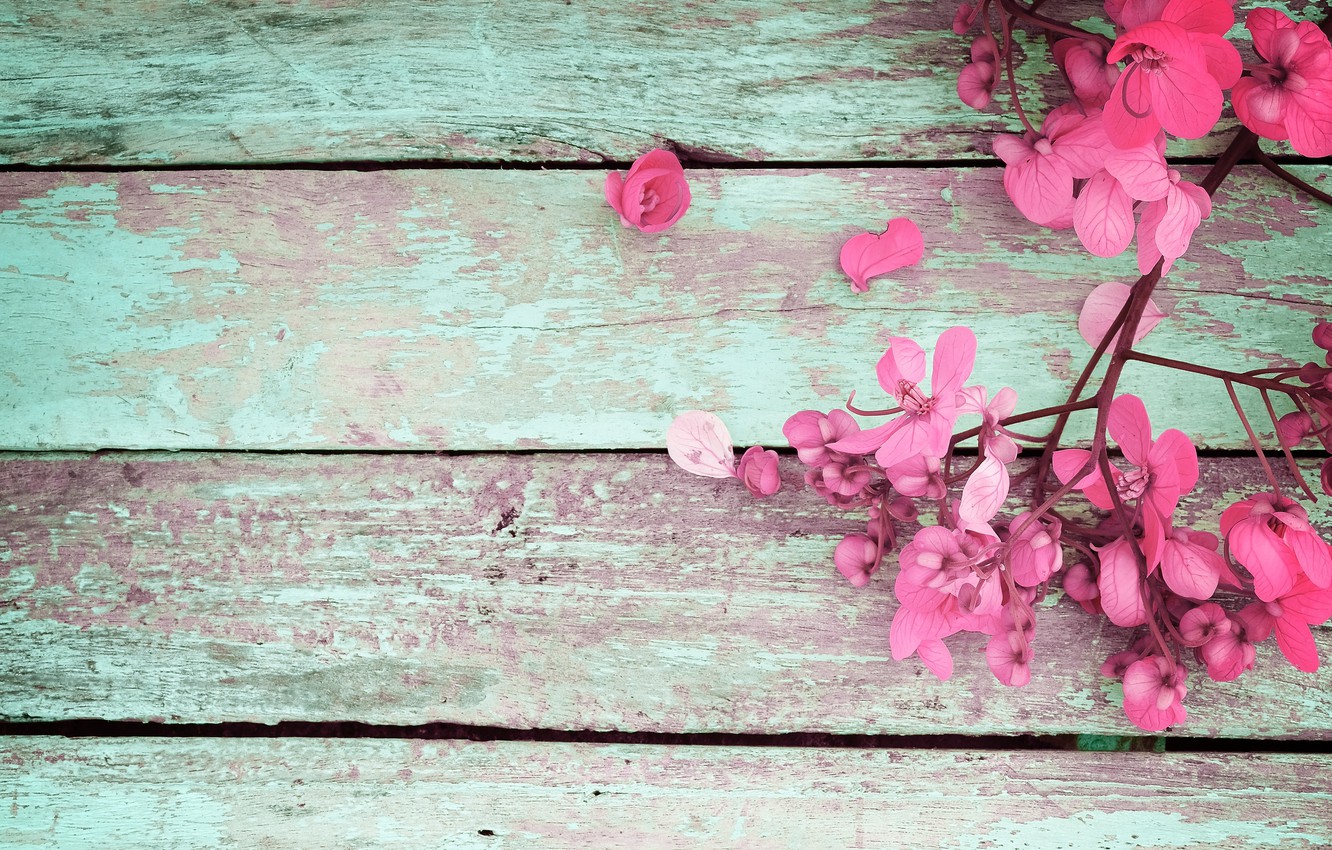 Photo Wallpaper Flowers, Spring, Pink, Vintage, Wood, - Pink Flowers On Vintage Woods - HD Wallpaper 