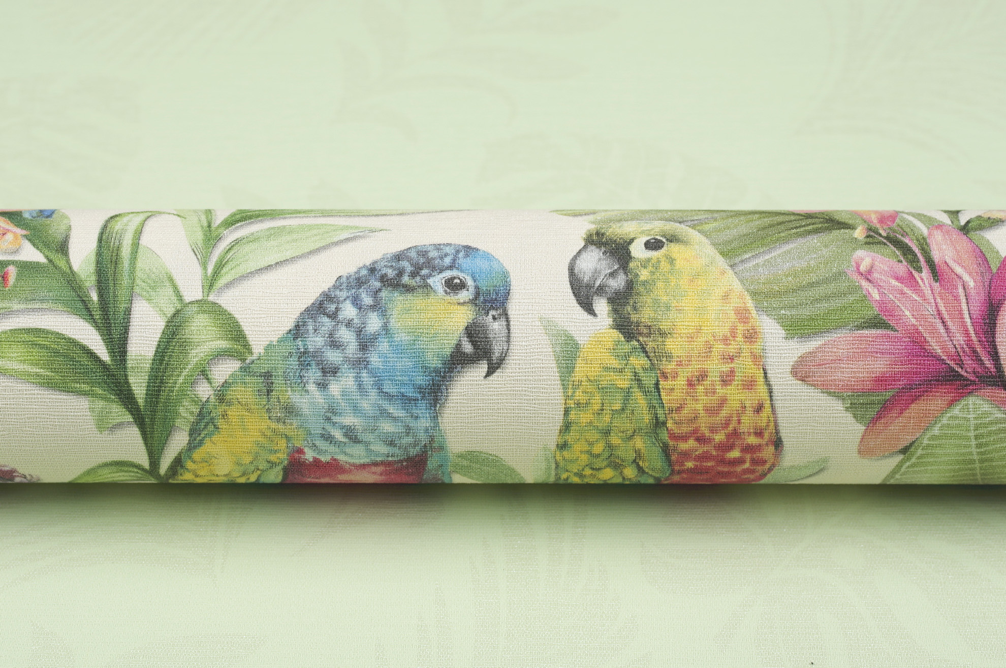 Macaw - HD Wallpaper 