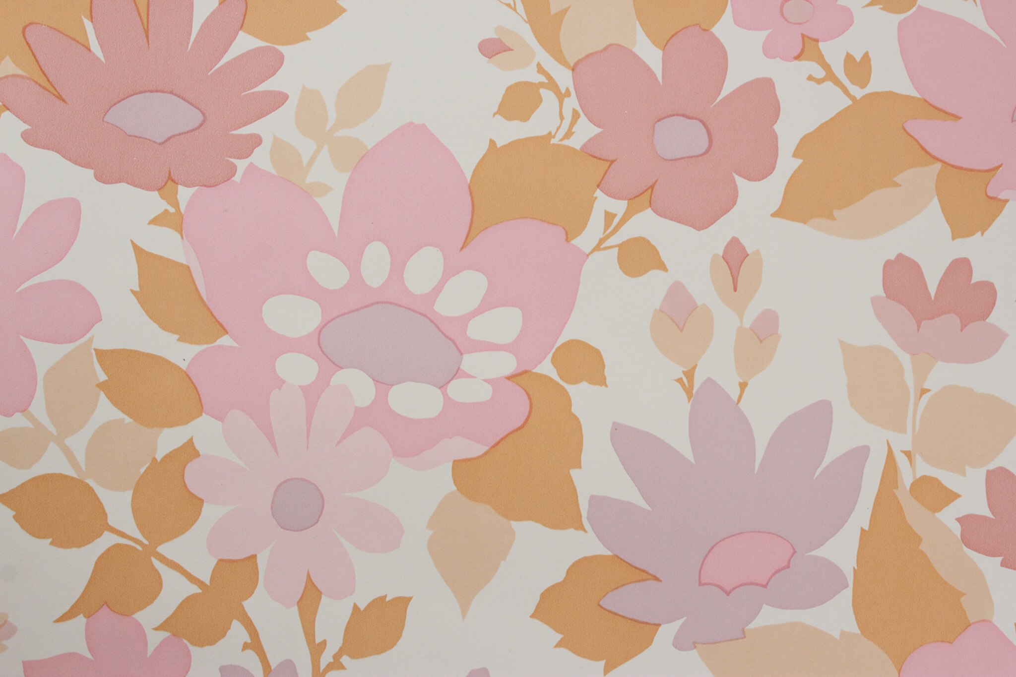 Wallpaper - HD Wallpaper 