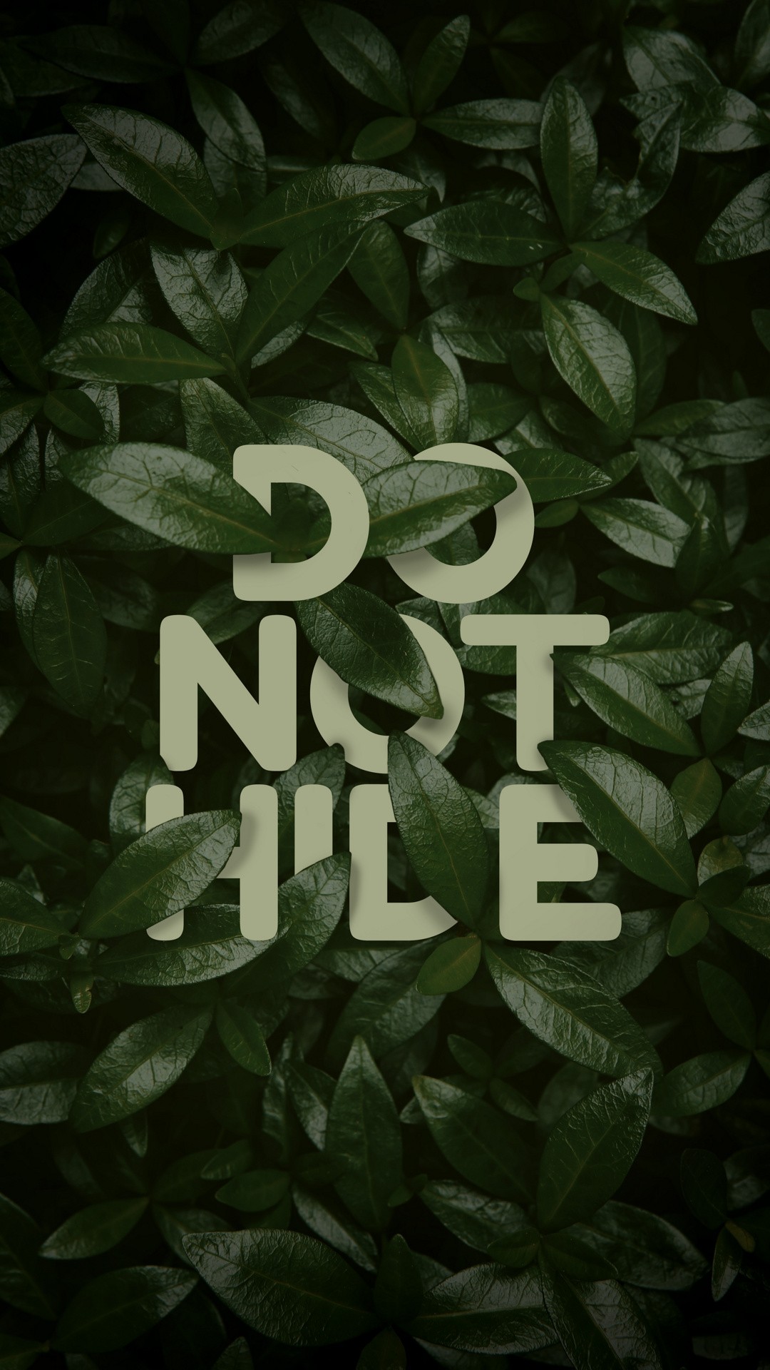 Do Not Hide Wallpaper - Samsung J4 Core - 1080x1920 Wallpaper - teahub.io