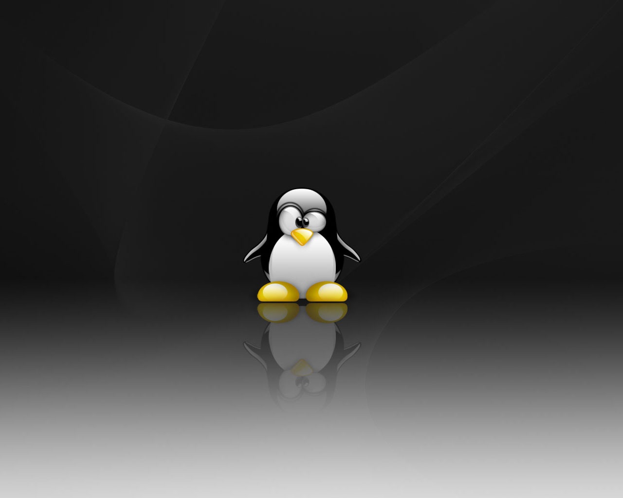 Linux Penguin Dark Background - HD Wallpaper 