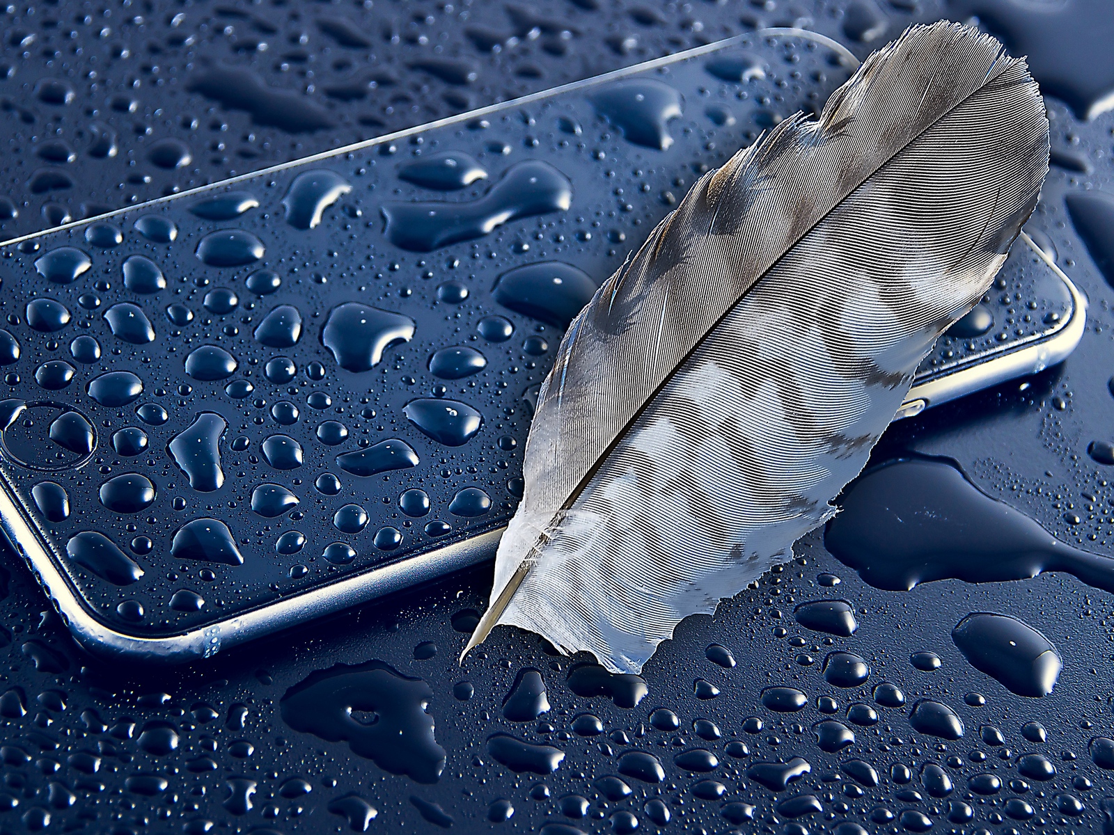 Wallpaper Iphone 6, Apple, Feather, Smartphone - Water Drops On Phone - HD Wallpaper 