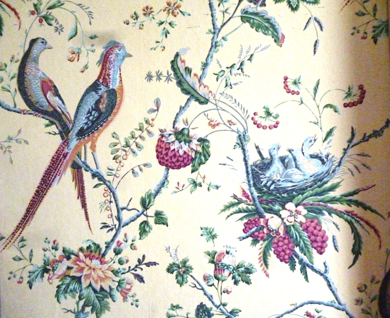 Victorian Wallpaper Birds - HD Wallpaper 
