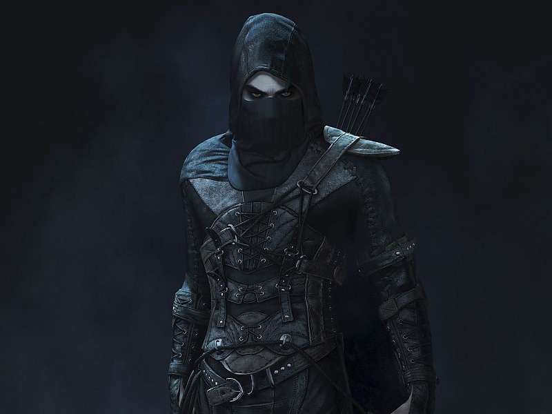 Ladrón Juegos Hd Wallpaper Fondo De Pantalla - Thief Leather Armor - HD Wallpaper 