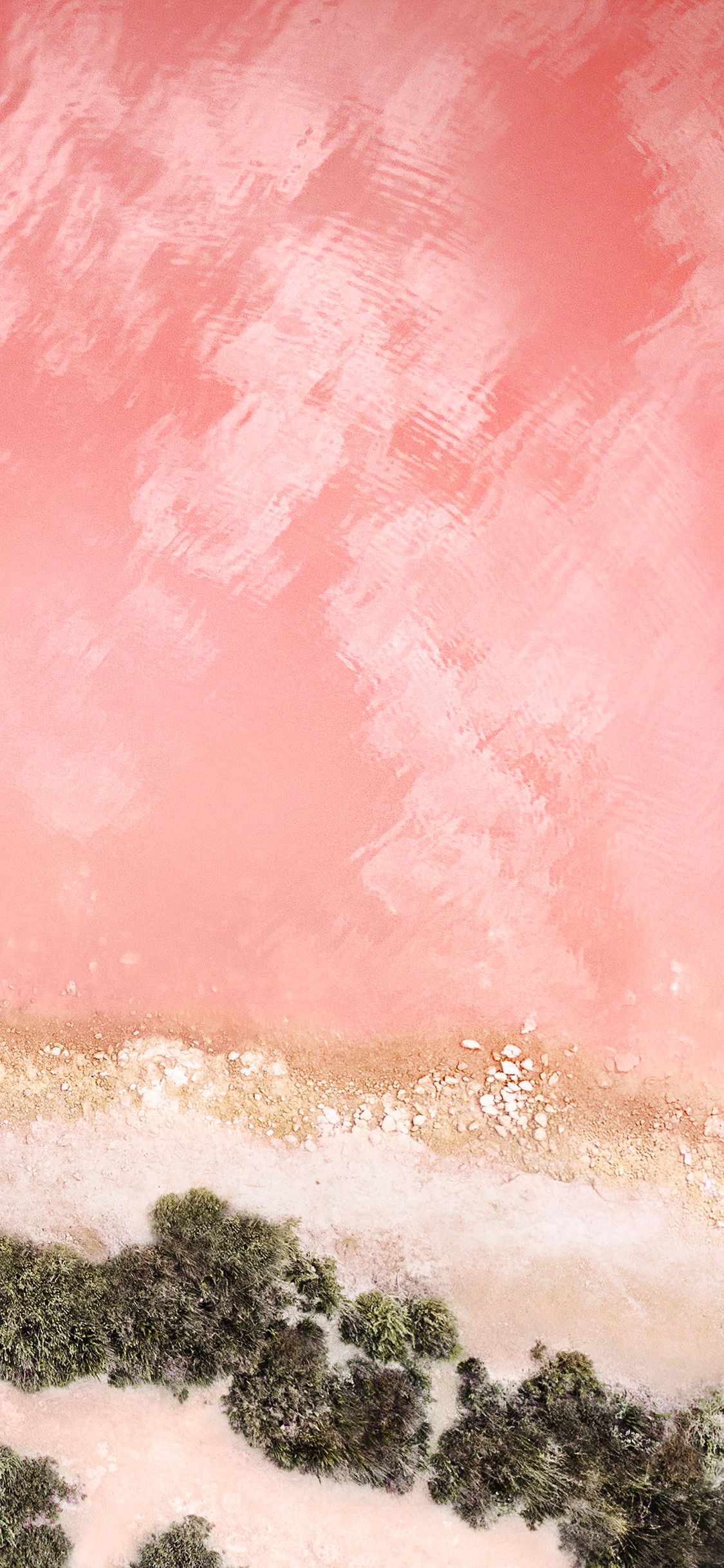 Pink Background Iphone X - HD Wallpaper 