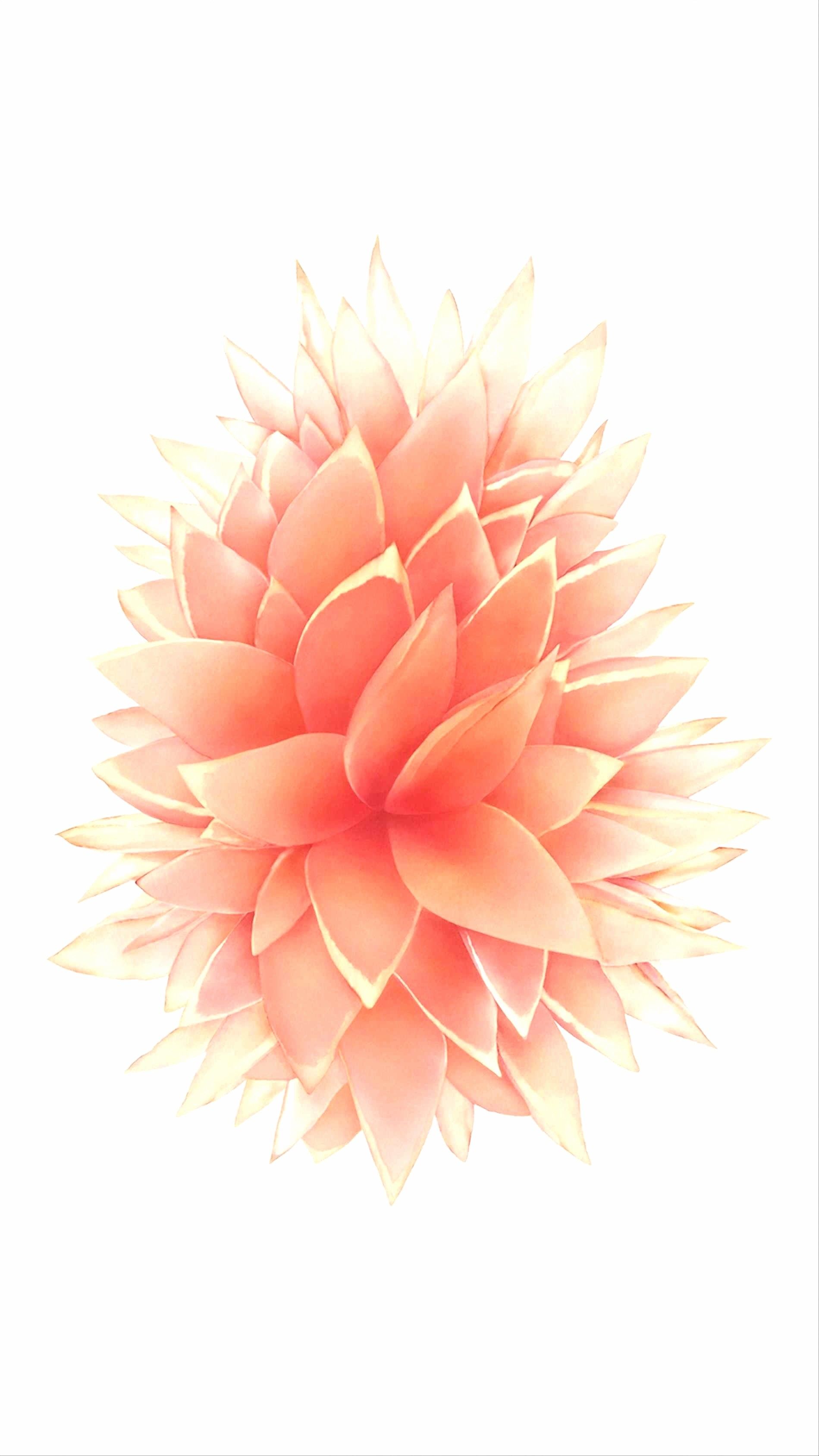 Iphone Se - HD Wallpaper 