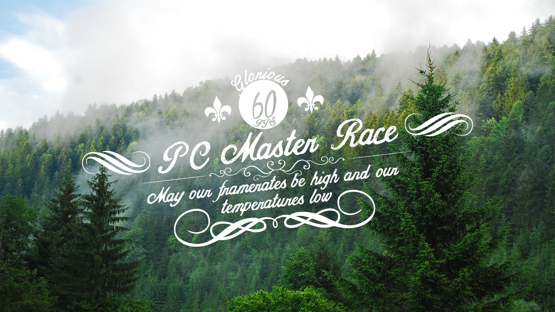 Northwestern Coniferous Forest - HD Wallpaper 