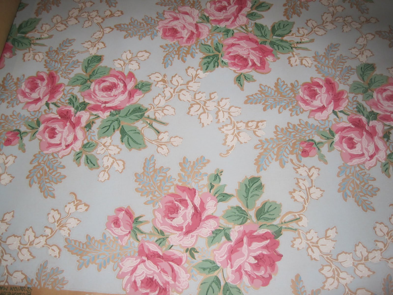 Garden Roses - HD Wallpaper 