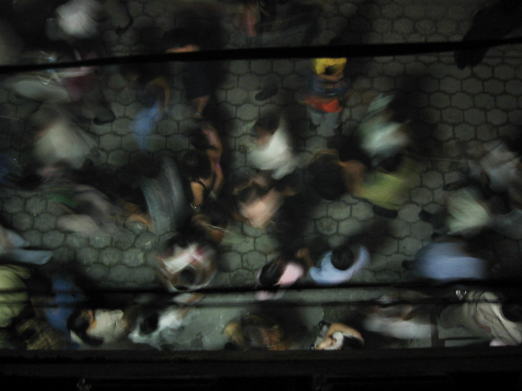 Premium Wallpaper Nr - Aquarium - HD Wallpaper 