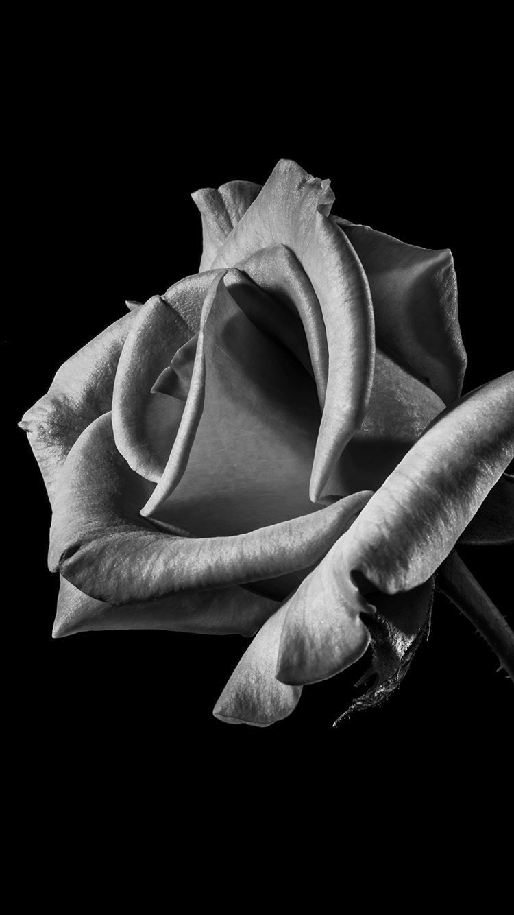 Beautiful Ipad Wallpaper Dark - HD Wallpaper 