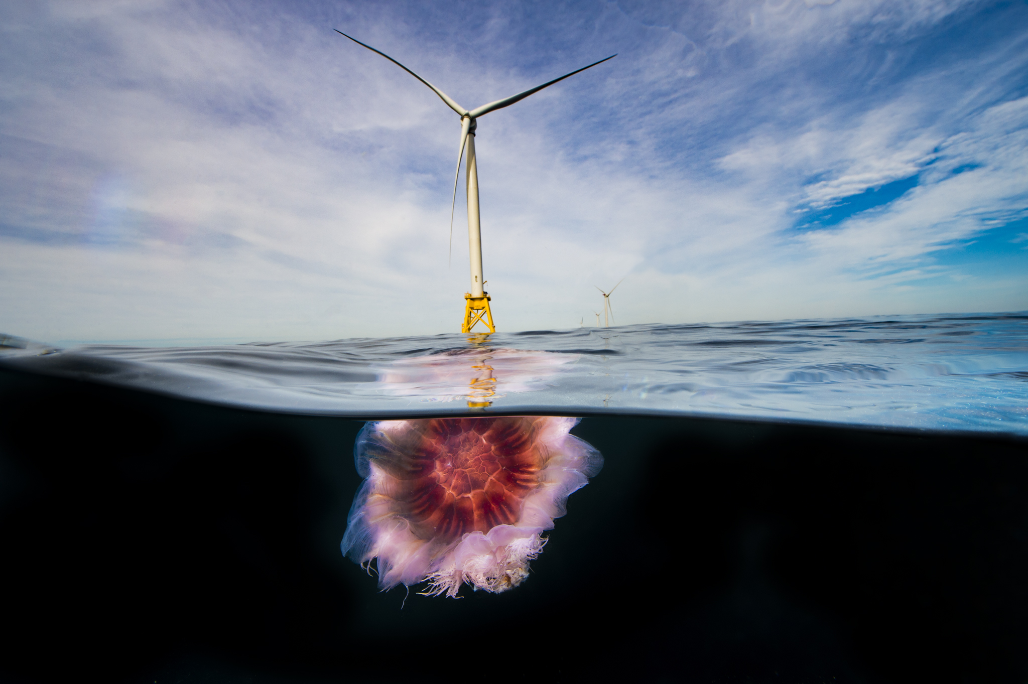 Ge Healthcare - HD Wallpaper 