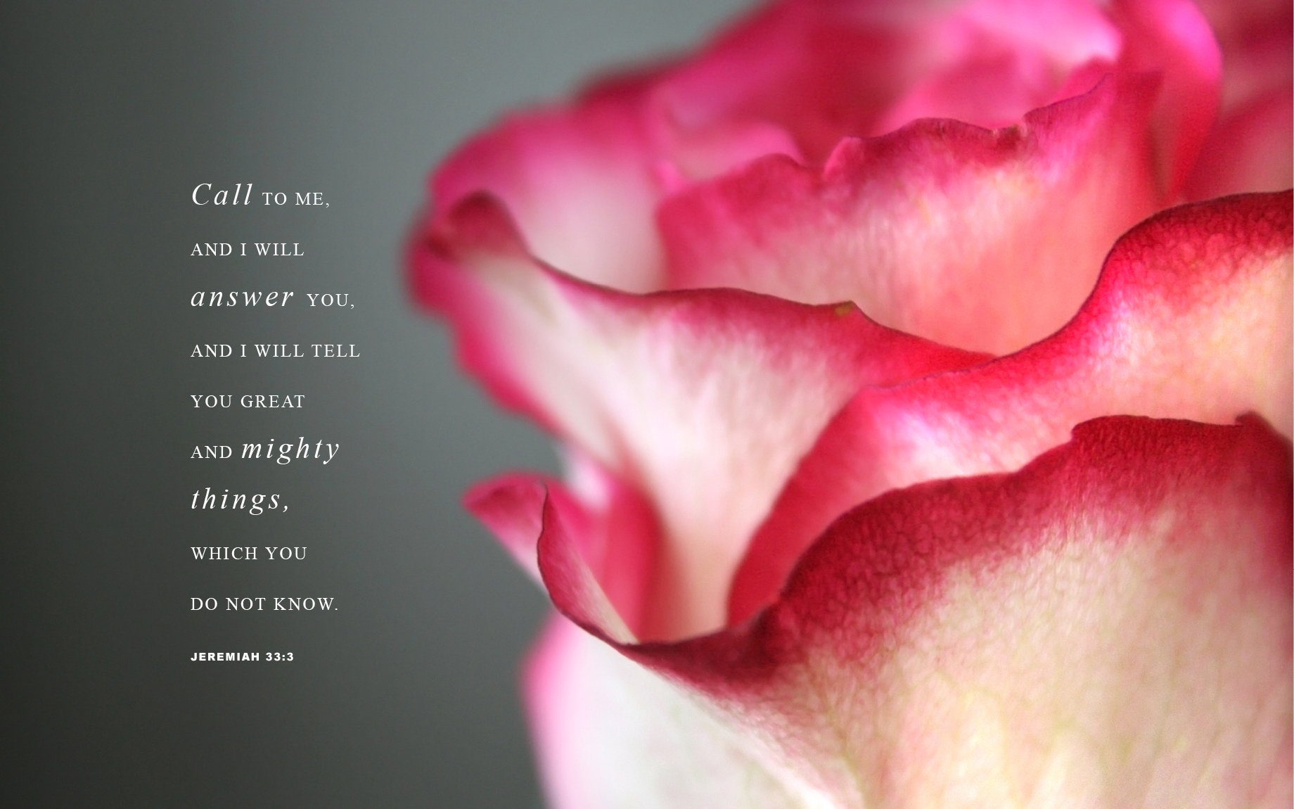 You And Me Until The End - HD Wallpaper 