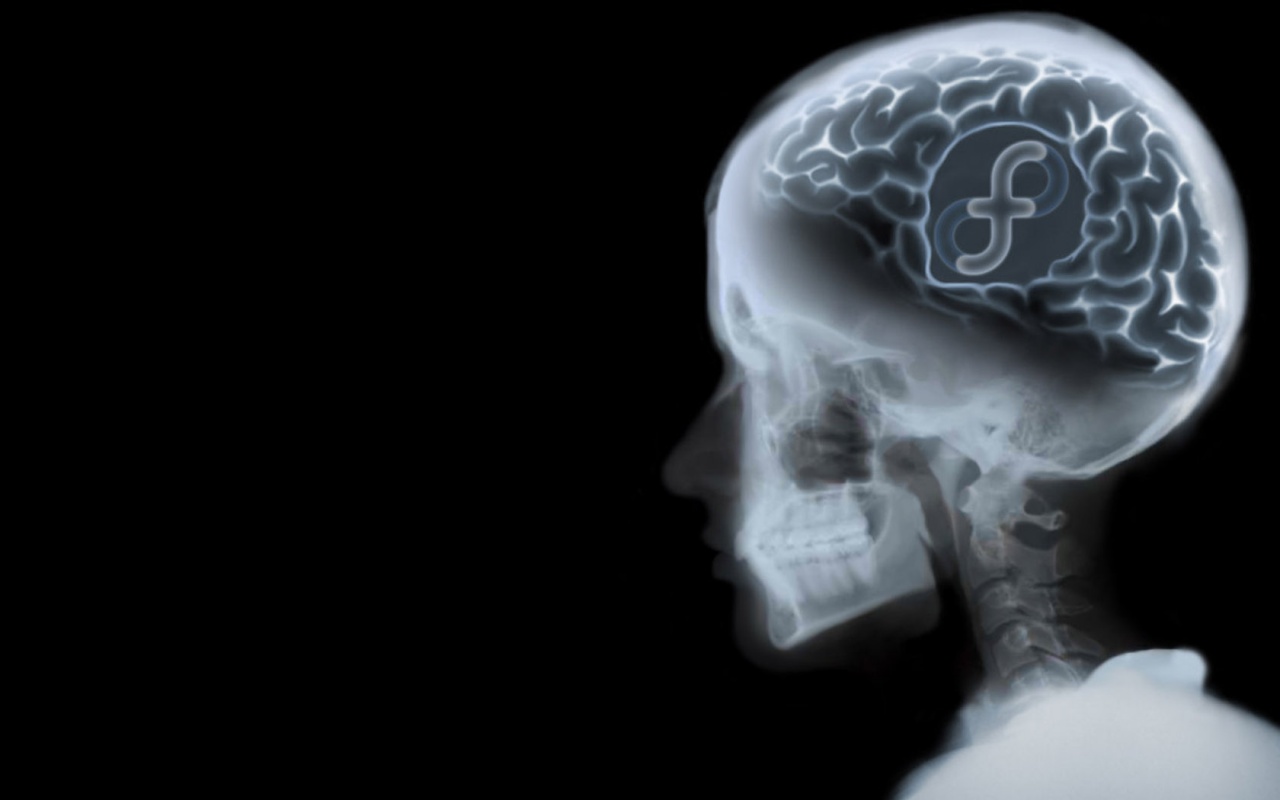 Dark Hd Wallpaper Fedora - HD Wallpaper 