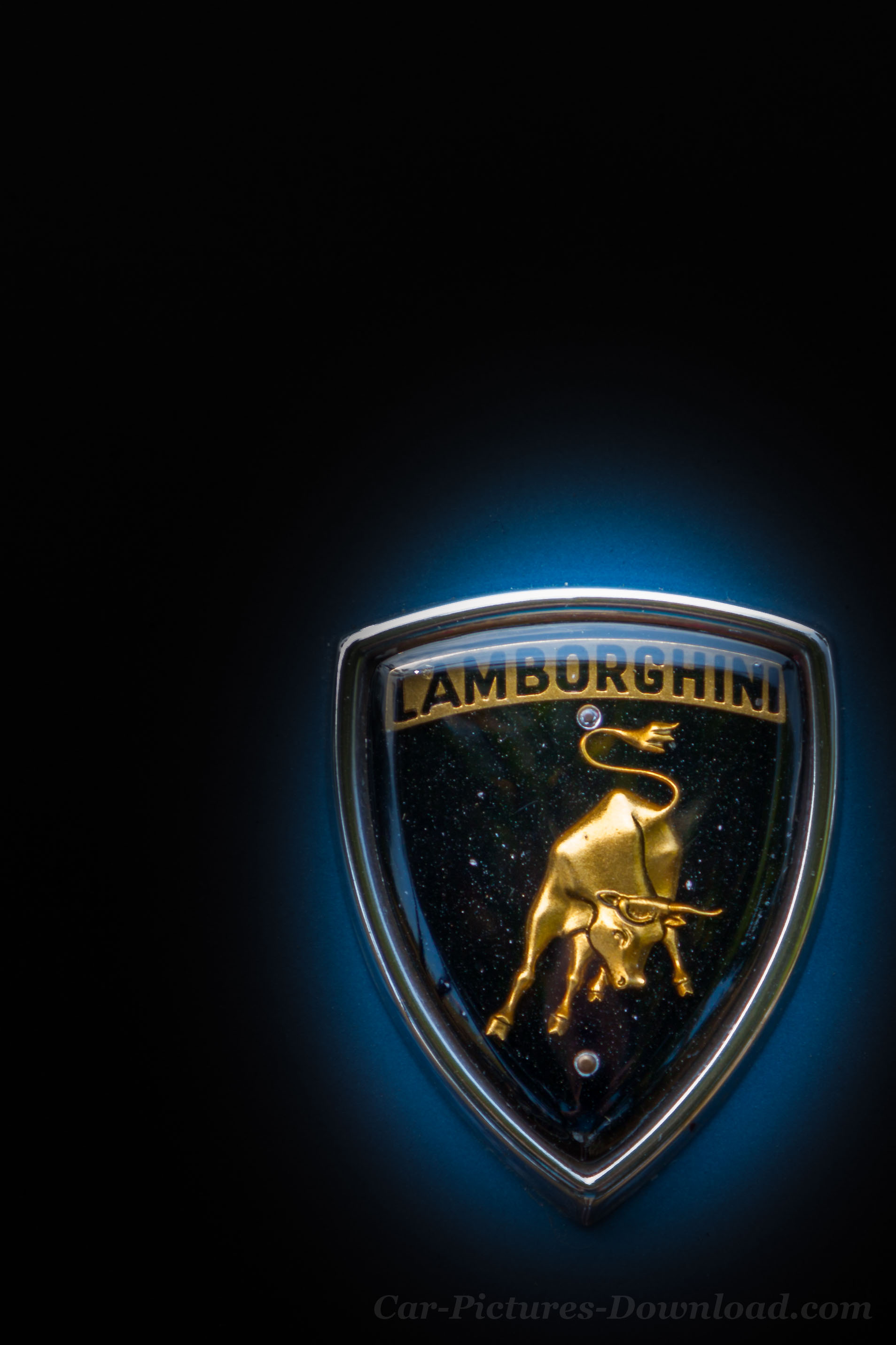 Lamborghini Logo Wallpaper Iphone - Lamborghini Logo Wallpaper Hd -  1907x2860 Wallpaper 