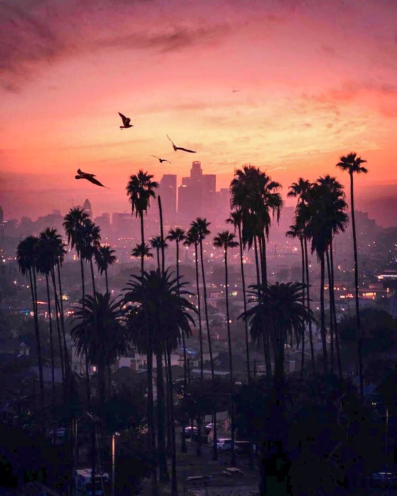 Los Angeles California Wallpaper Sunset - HD Wallpaper 