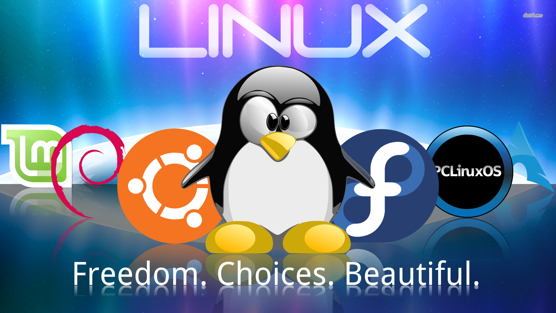 Linux Tux Ubuntu Debian Fedora Logos Hd Wallpaper - Different Types Of Operating System Desktops - HD Wallpaper 