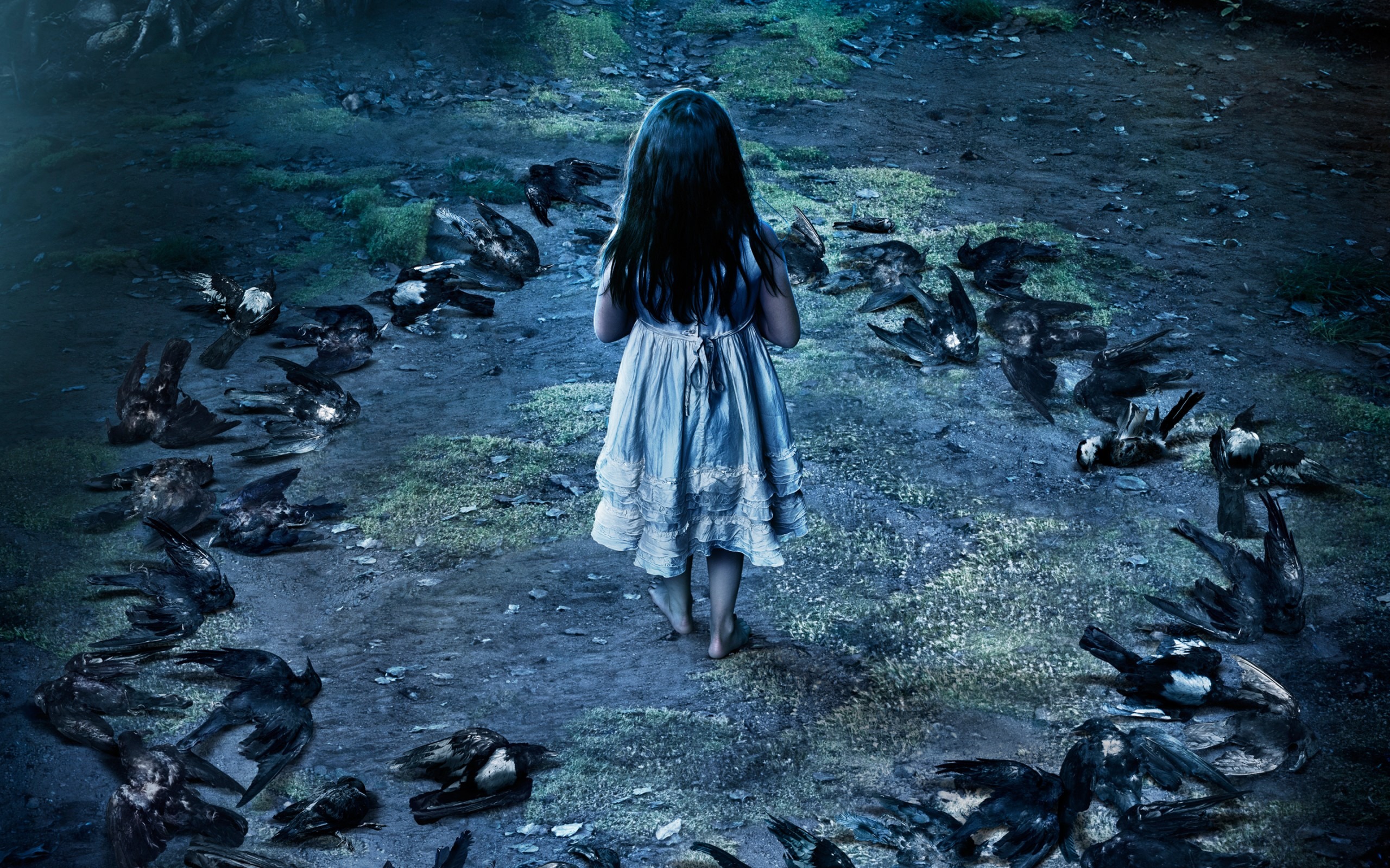 Originals Season 4 - HD Wallpaper 