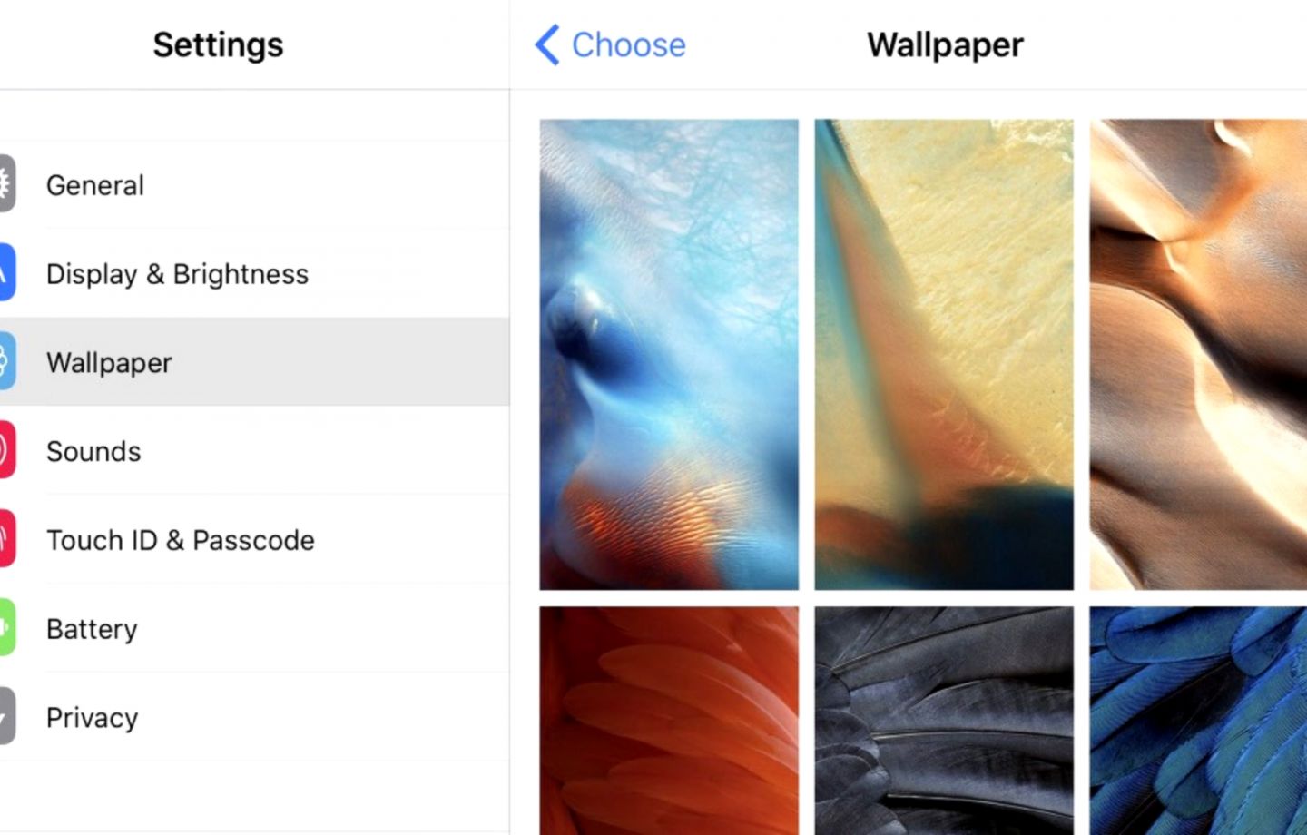 Here Are All Of Ios 9s Colorful New Wallpapers For - Ios 9 - HD Wallpaper 
