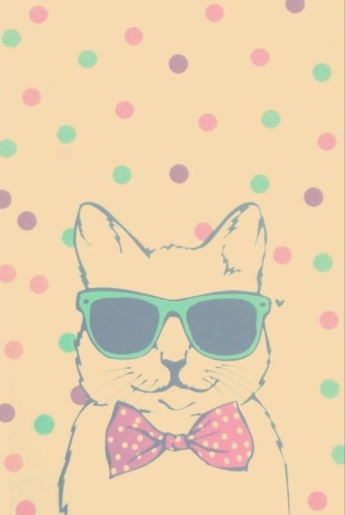 Wallpapers Gato Hipster - Cartoon Cat Wallpapers Iphone - HD Wallpaper 