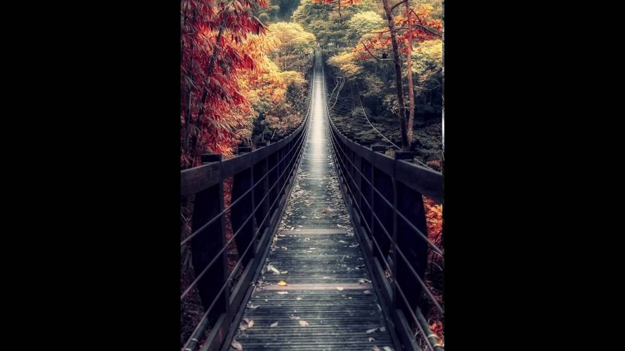 Imagenes De Zedge Hd - HD Wallpaper 