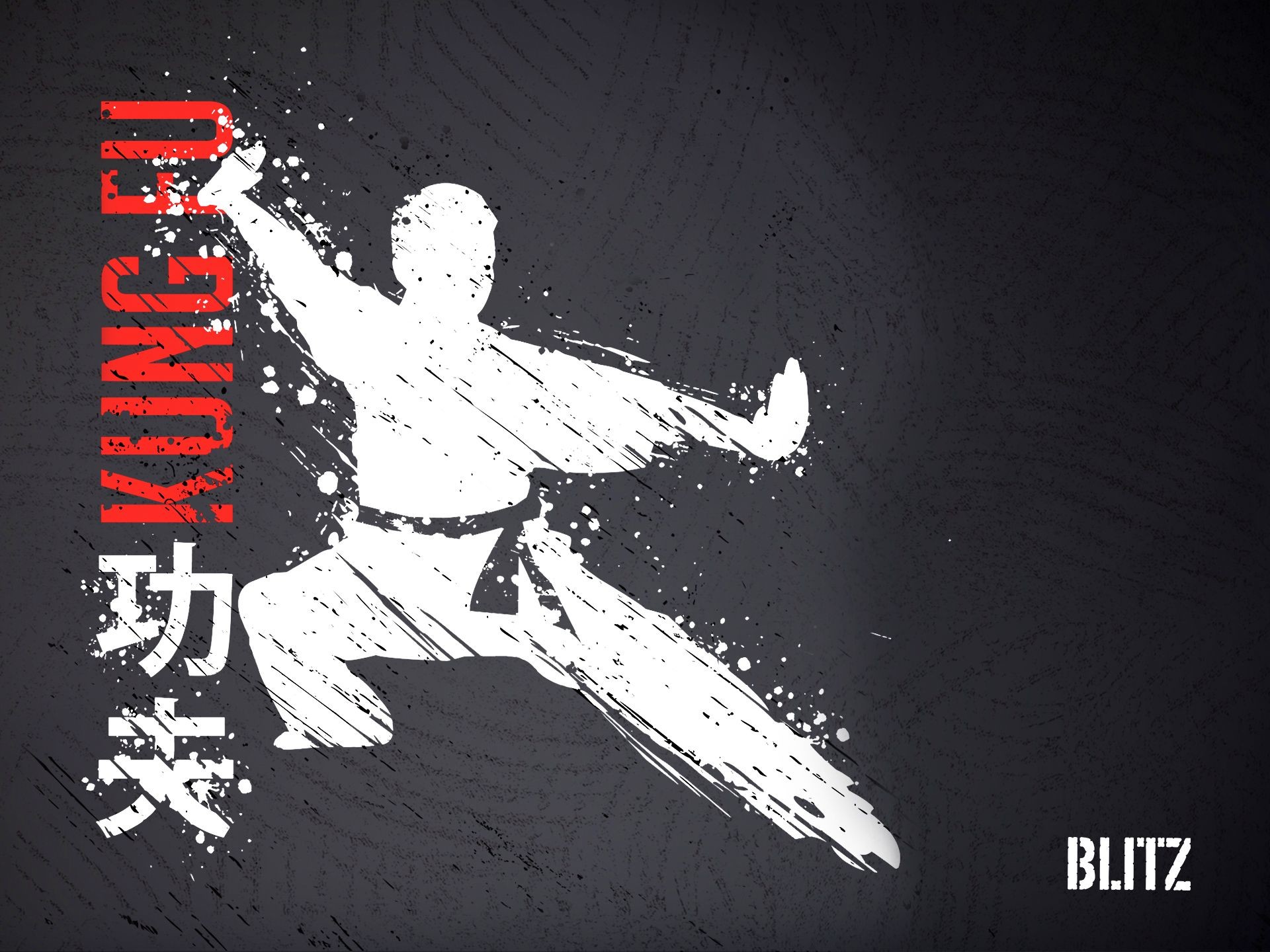 1920x1440, Blitz Kung Fu Wallpaper 
 Data Id 391876 - Kung Fu Wallpaper Phone - HD Wallpaper 