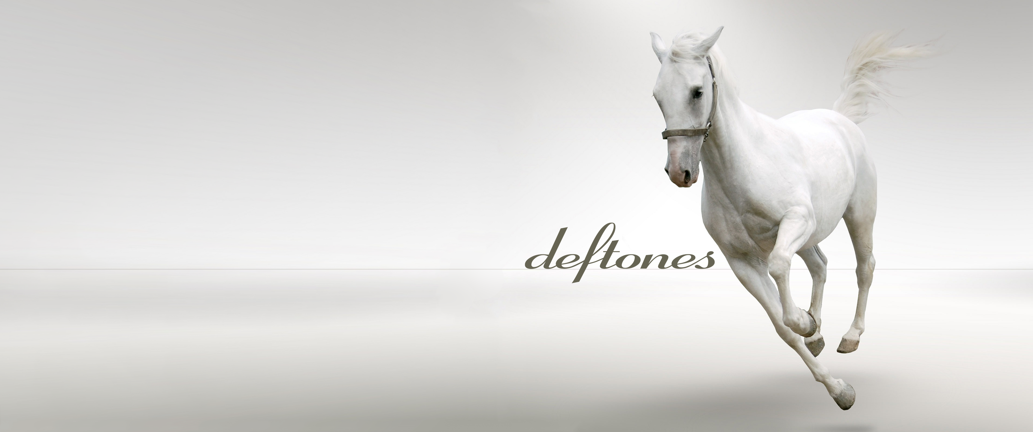 Deftones Wallpaper White Pony - HD Wallpaper 