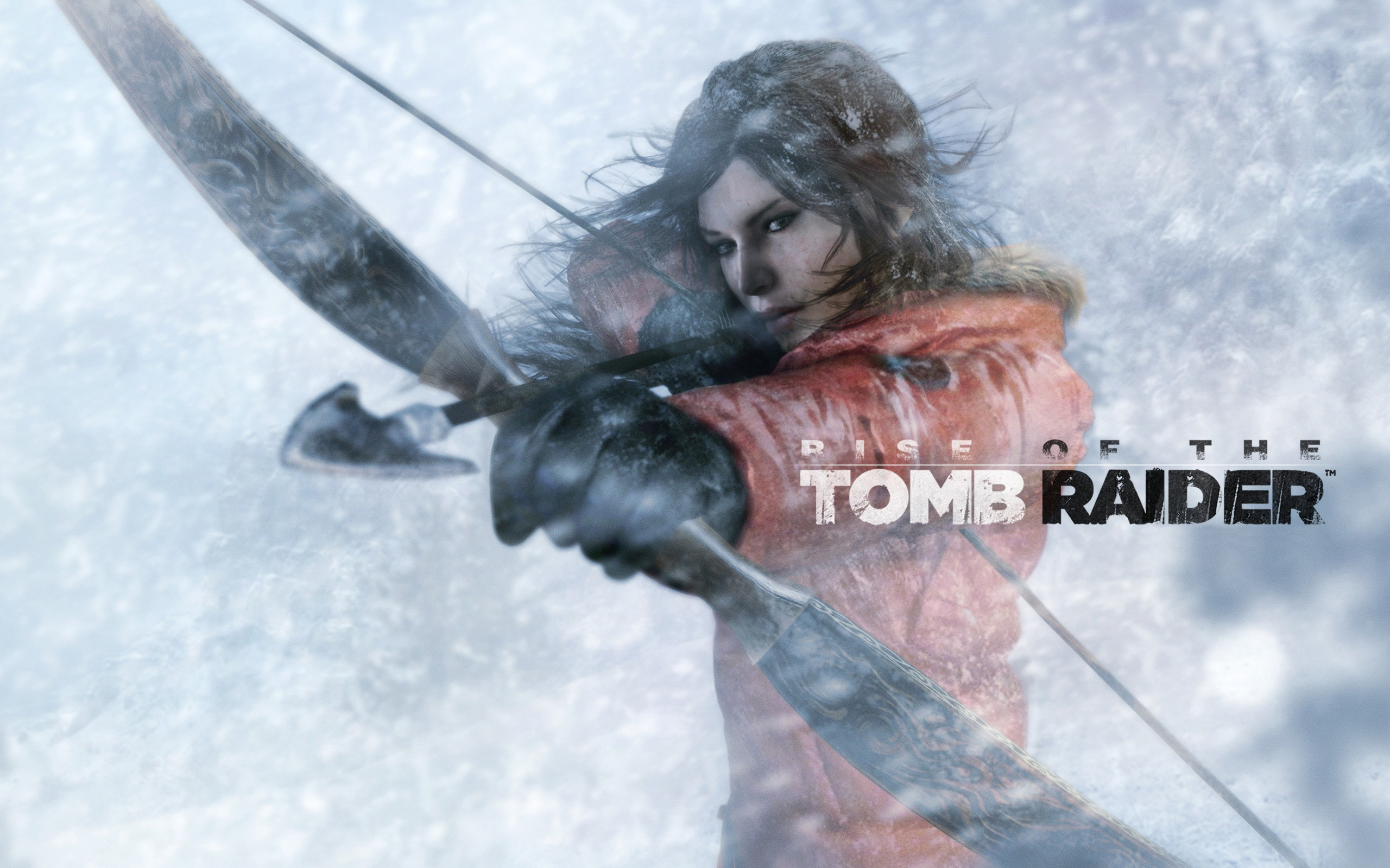 Tomb Raider Rise - HD Wallpaper 