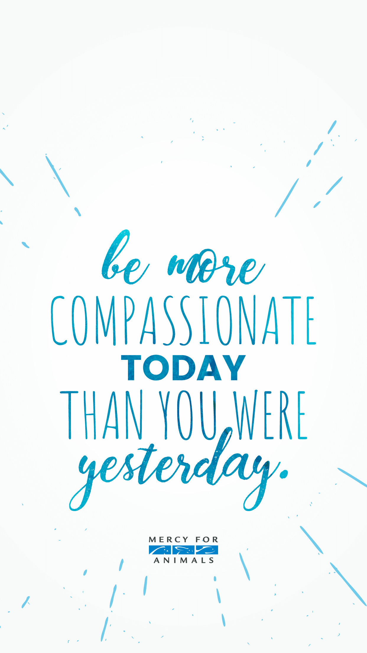 Mercy For Animals - HD Wallpaper 