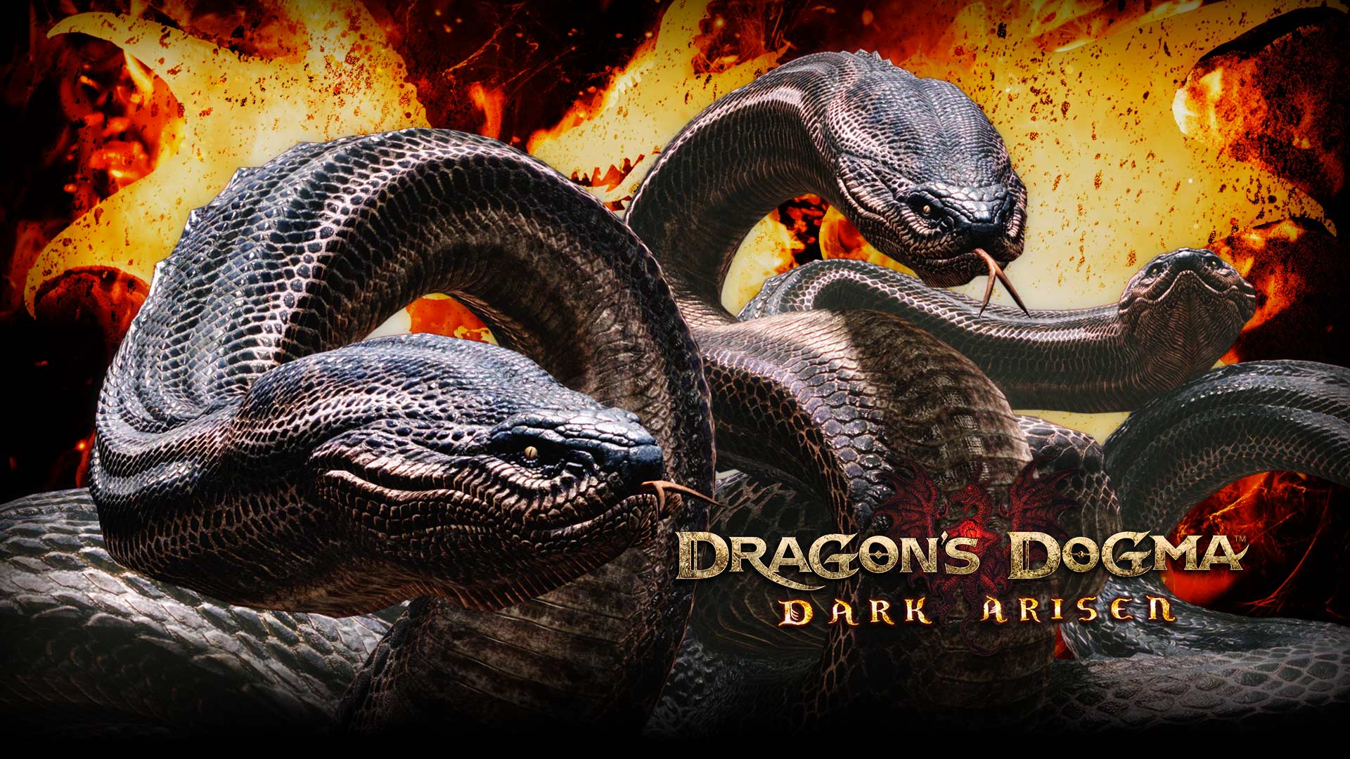 Dragon S Dogma Hydra Png 19x1080 Wallpaper Teahub Io Dragon S Dogma Hydra Png 19x1080 Wallpaper Teahub Io