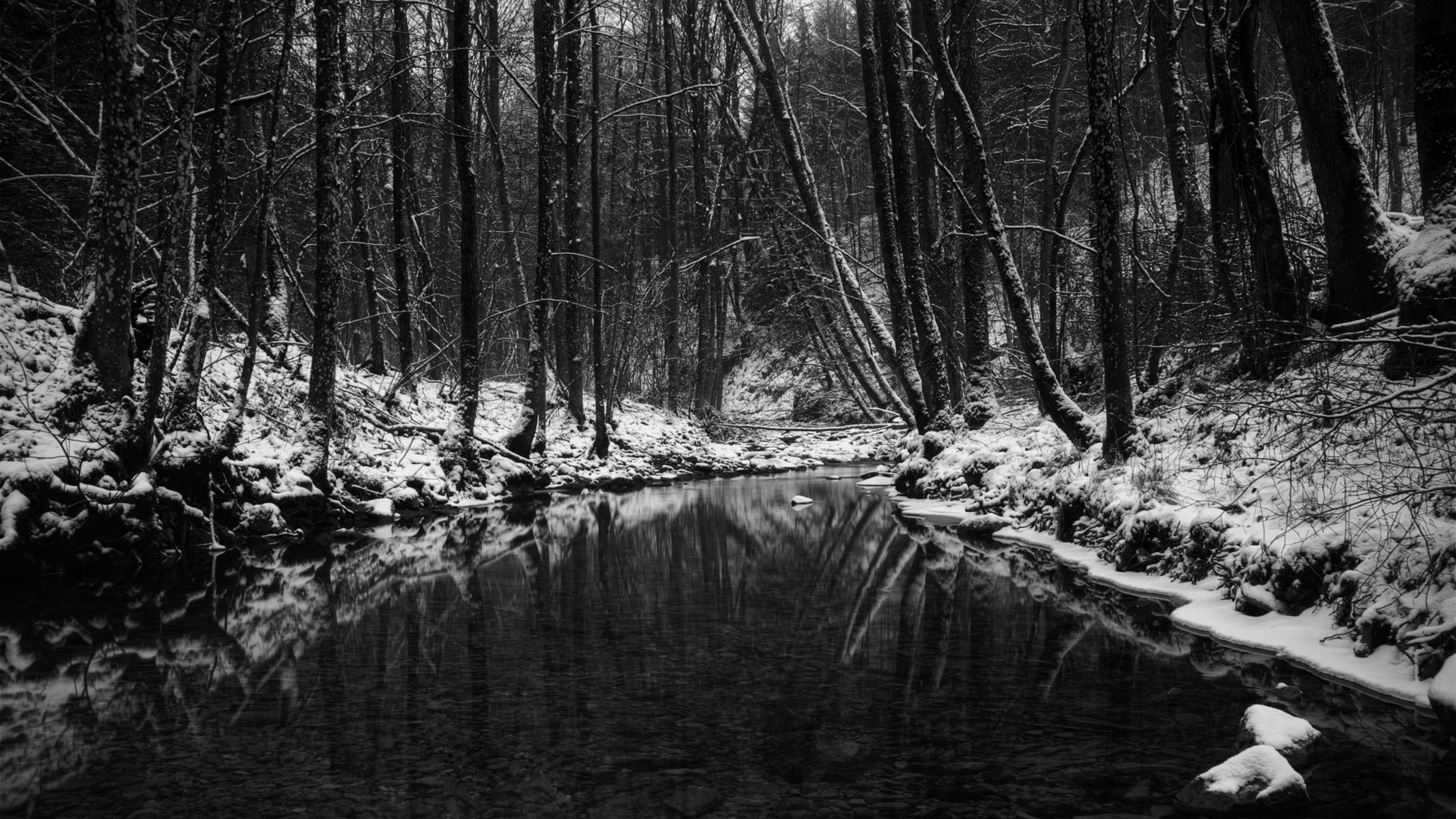 Winter, Reflection, Snow, Nature, Dark, Wallpaper, - Nature Black And White - HD Wallpaper 