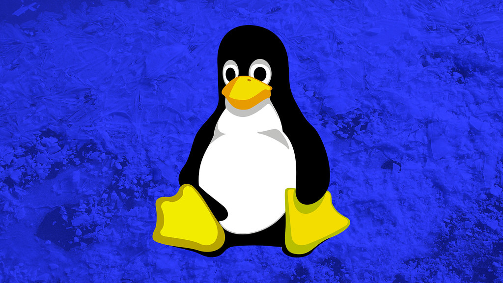 Linux Penguin - 1024x576 Wallpaper - teahub.io