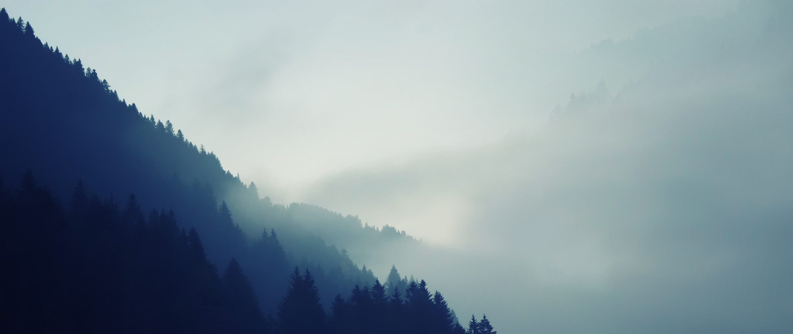 2560x1080, - Eagle Wallpaper Iphone - HD Wallpaper 