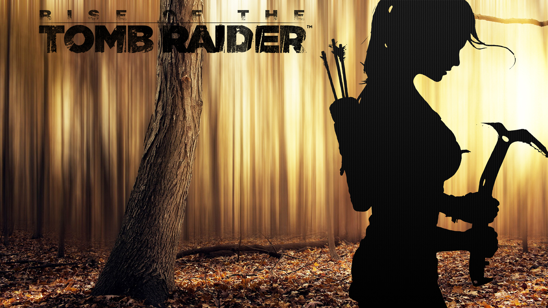 Rise Of The Tomb Raider Wallpaper - Tomb Raider 2016 Wallpaper Hd - HD Wallpaper 