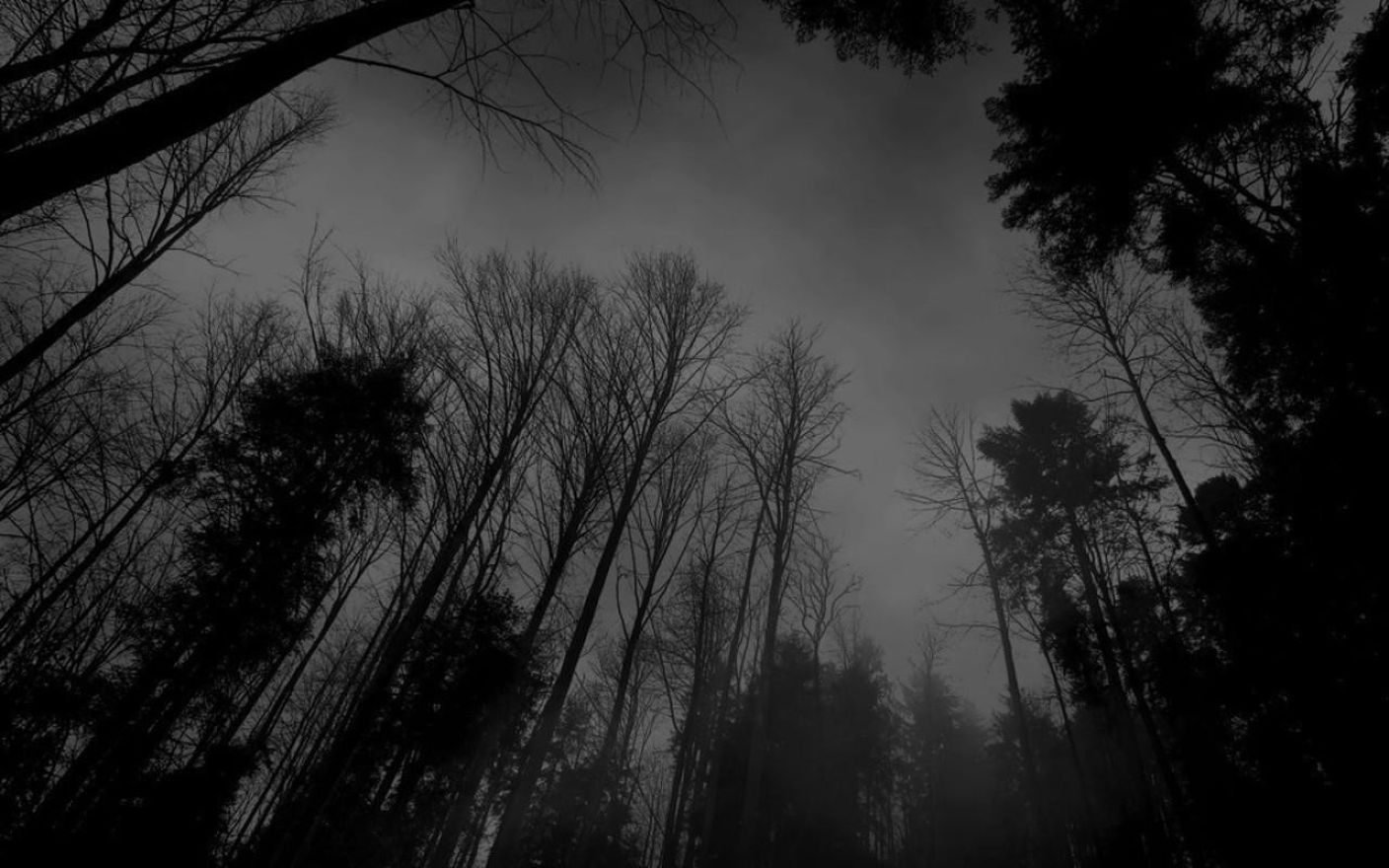 Download Free Hd Dark Nature Black Background Hd Wallpaper, - 1408x880 Wallpaper Download Free Hd Dark Nature Black Background Hd Wallpaper, - 1408x880 Wallpaper