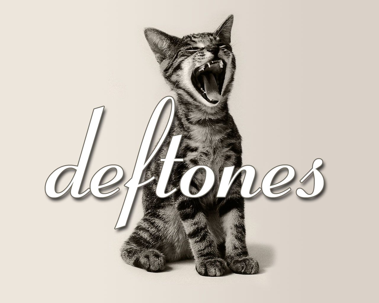Screaming Cat Deftones - HD Wallpaper 