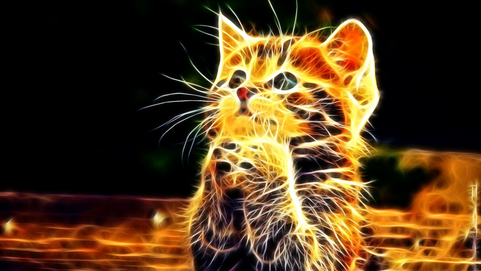 Praying Cat Free Wallpapers High Resolution Wallpaper, - Cats For Desktop Background - HD Wallpaper 