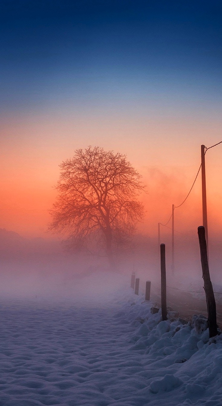 Wallpapers-iphone - Iphone 8 Hd Wallpaper Winter - HD Wallpaper 