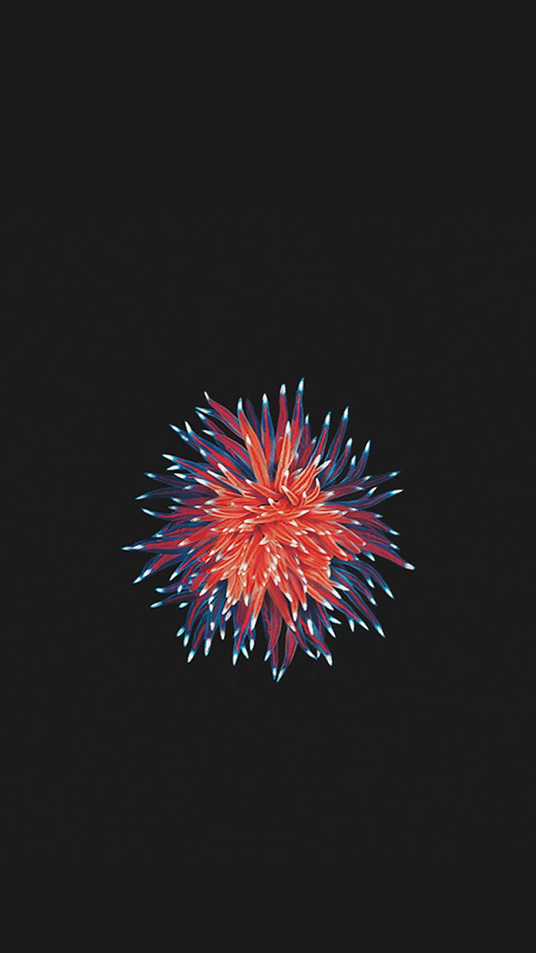 Обои На Айфон Se - HD Wallpaper 