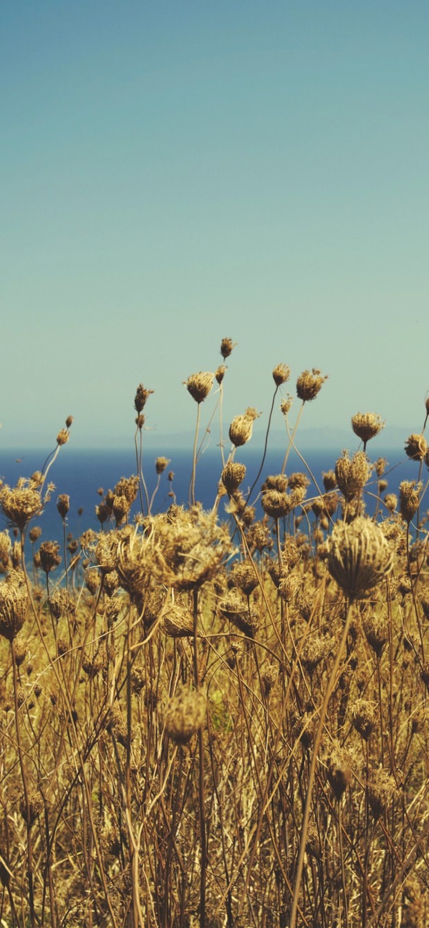 Iphone Xs Max Wallpaper - 80s Film Effect Photoshop - HD Wallpaper 